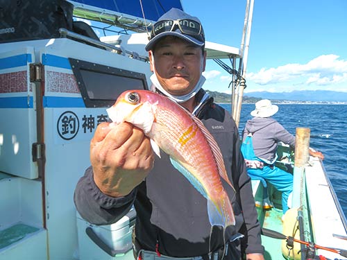 後半このサイズが中心