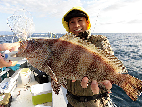大きなオオモンハタが釣れた!