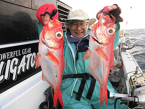 釣りたての魚体は白銀色をしている