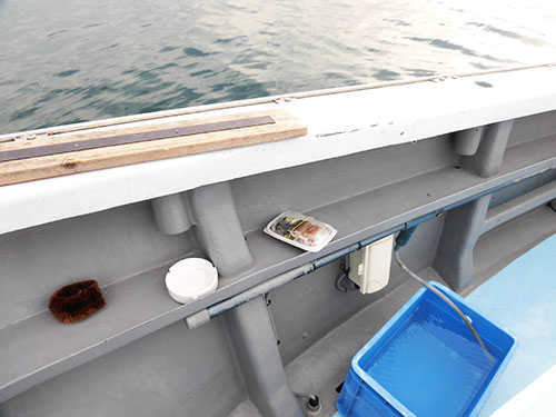 釣座には座布団、餌、桶、マグネットが