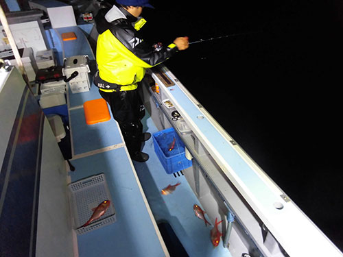 仕掛けが絡まぬよう、魚を離して取り込む