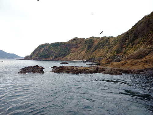 高島のノリ瀬