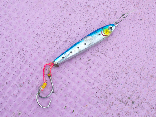 小型のジグでヒット