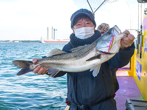 この冬 東京湾のルアーが熱い シーバス イナダが高活性 釣りビジョン マガジン 釣りビジョン