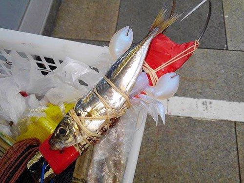 これで釣れていました。テンヤ+アジ仕掛け