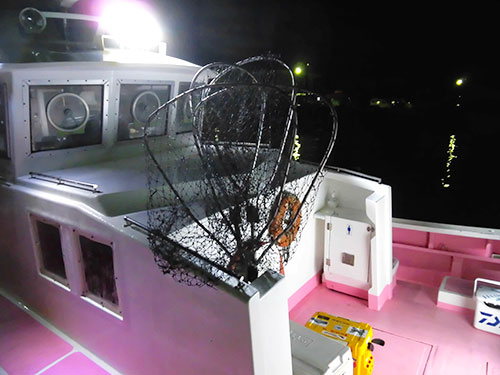 大型魚も掬えるタモ網