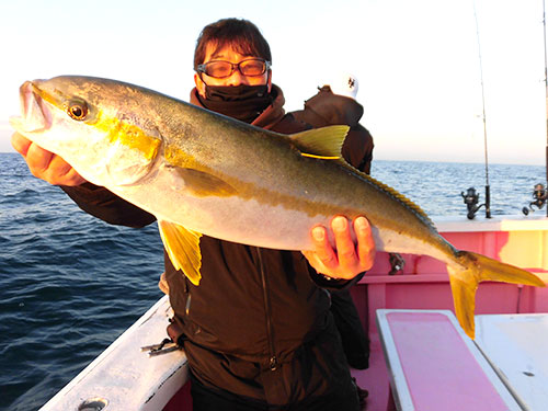 多くの釣り人がヒラマサをタグ&リリース