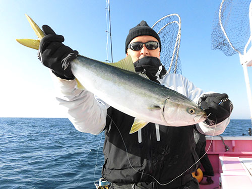 浅場でもイナダが釣れた