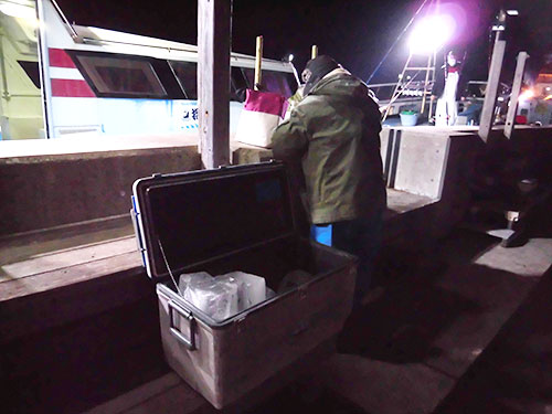 クーラーから氷を貰う