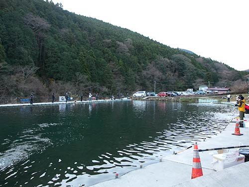 足場が良いので釣りやすい