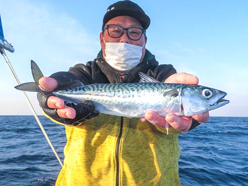 良いサイズのサバが次々にヒット