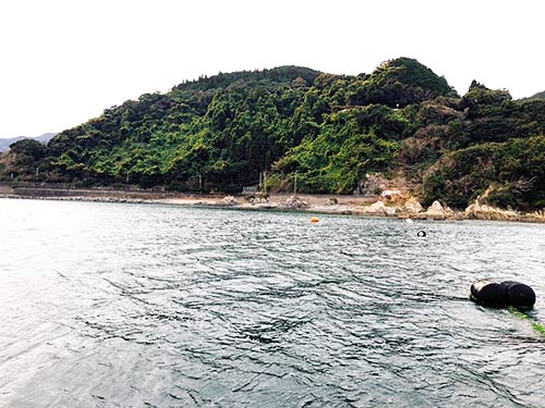 釣座から岸方向