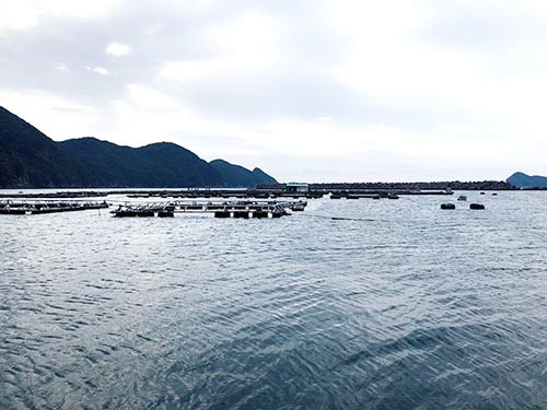 釣座から沖方向