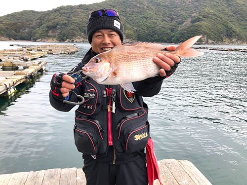 綺麗な魚体の50cm級のマダイ