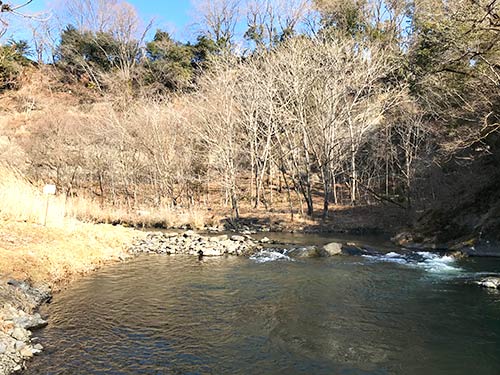 釣り場下流の境界となっている大淵