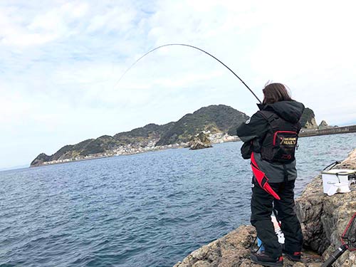 釣り人を魅了するグレの強烈なファイト