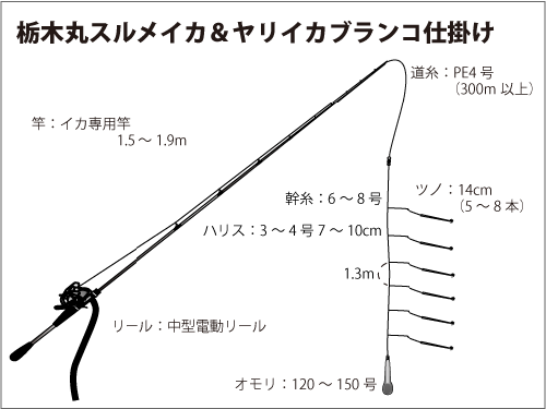 東京湾口周辺でスルメイカ ヤリイカの多点掛け 大興奮 釣りビジョン マガジン 釣りビジョン