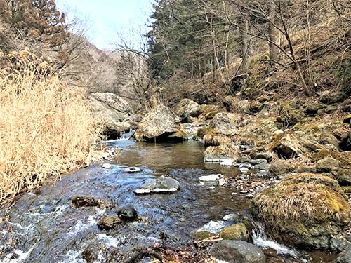 C&R区間はこれといった悪場もないので、遡行は楽。ただし、油断は禁物だ