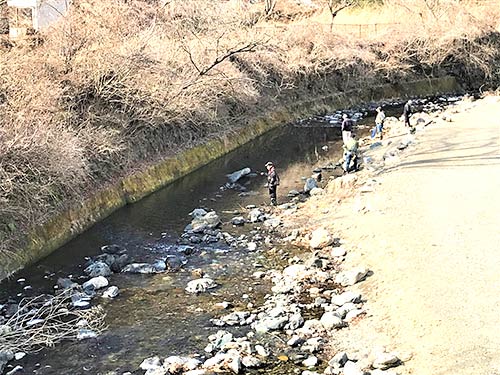 芦ヶ久保川の解禁日の様子