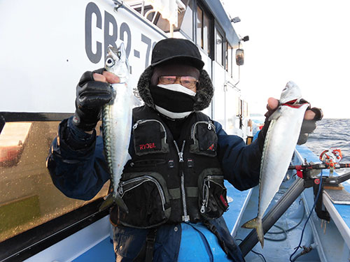 勝浦の“寒サバ”はとにかく旨いし良く釣れる!