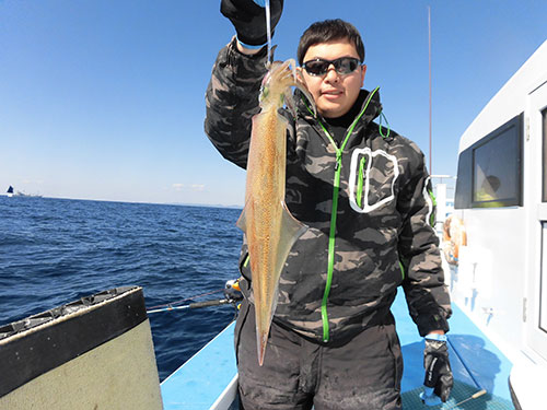 シングルだが肉厚パラソル文句なし!