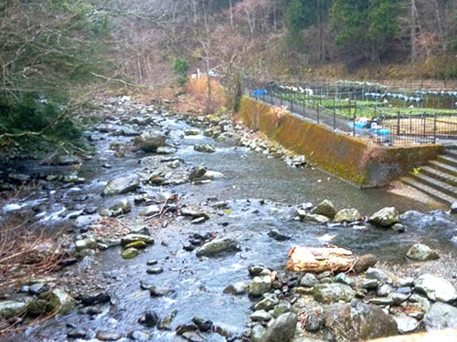 早春の本谷川