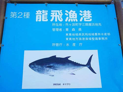 黒いダイヤ「本マグロ」で有名な龍飛漁港
