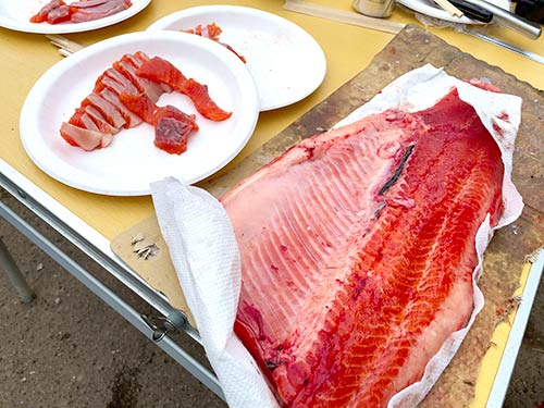 良型を捌くとこの身質、味は言わずもがな