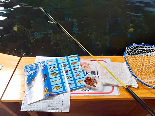 海の魚を釣る