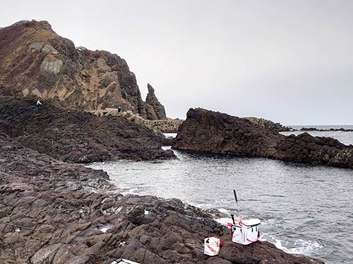 今回の私の釣り座。思惑とは違ったものの…