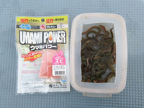 餌は青イソメが配られる。滑り止めで手返しアップ