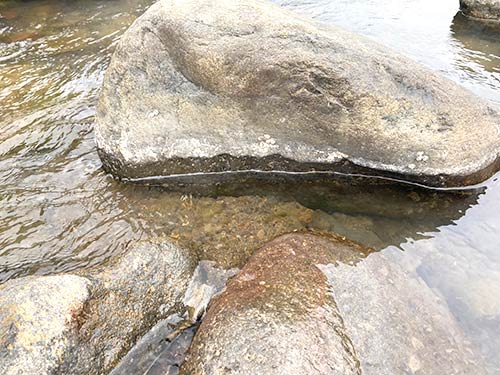 朝よりも減水し始めた