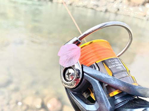 桜が散り、季節がまたひとつ移りゆく頃、渓流シーズンの本番がやってくる