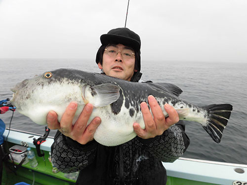 東京湾のトラフグ 大物ラッシュ 特大5 26kgも出たッ 釣りビジョン マガジン 釣りビジョン