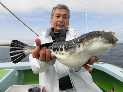 根気良く釣ることが釣果への最短コース