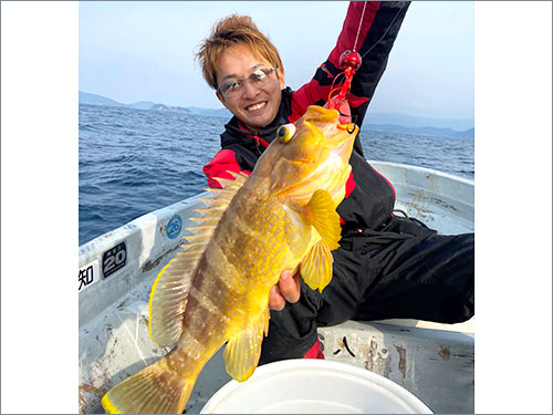 良型のアオハタを釣り上げた