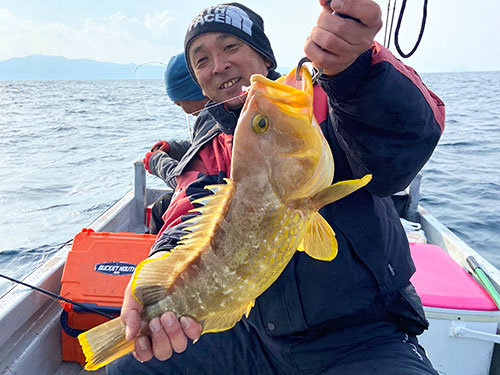 父も良型のアオハタをキャッチ