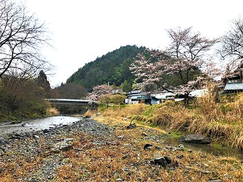 春の里川は遡るだけでも気分がいい