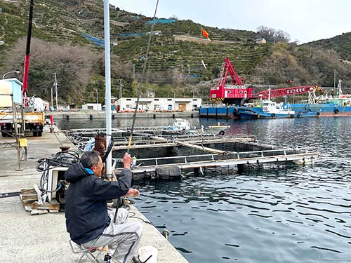 養殖場を横目にサビキ釣り開始