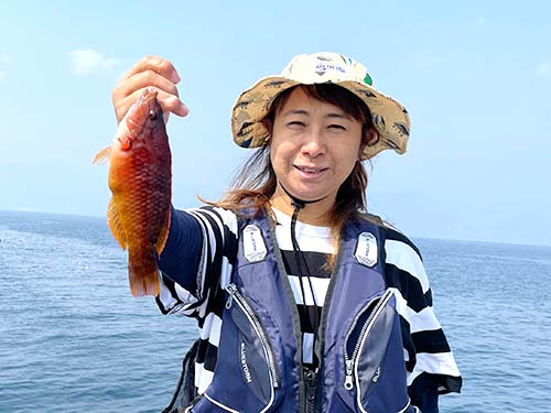 何とか1匹!綺麗なベラが釣れた