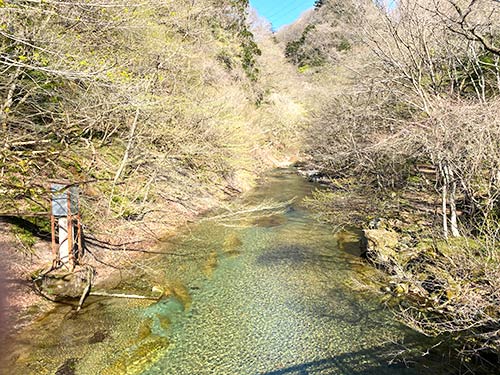 底までくっきり見える清流