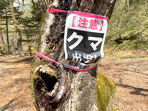 春になり熊も起き出したようだ