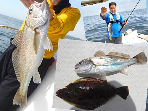 釣り上げた魚