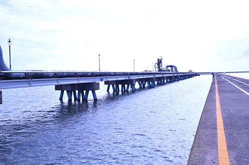 秋田港釣り(北)防波堤。今年も4月29日にオープン。11月末までの土・日・祝で開放予定だ
