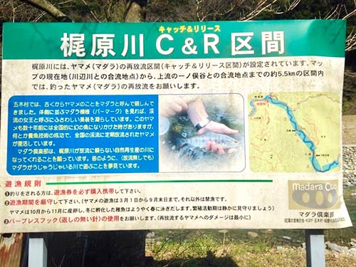 梶原川のキャッチ&リリース区間を示す看板