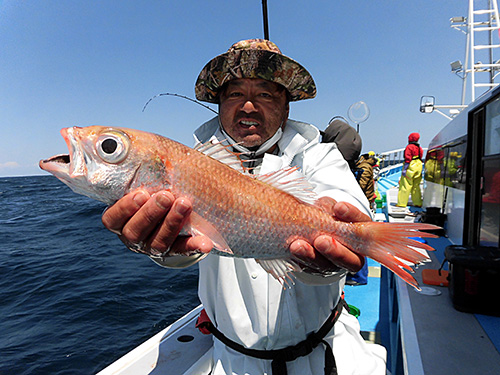 さすがは“海のルビー”と呼ばれる魚!美しい!