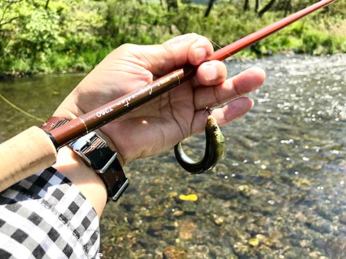 東京都青梅市 入間川の支流 成木川 毛バリでオイカワ釣り 釣りビジョン マガジン 釣りビジョン