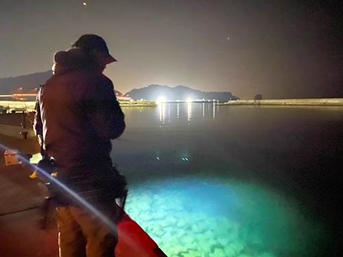 日が沈み海中の状況を確認する