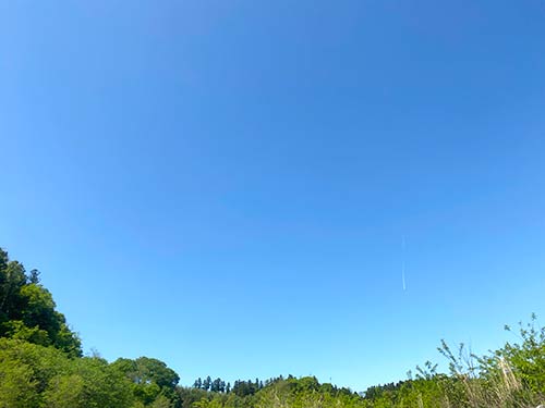 雲一つない青空
