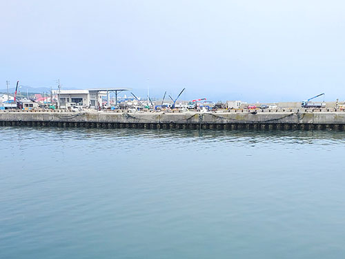海風が心地よい春の大中漁港